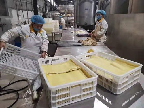 诚信为本，品质铸魂 安阳可旺食品有限责任公司打造豆腐优秀品牌之路
