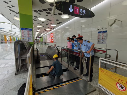 上海强化食品安全监管 三个月全面排查食品经营企业33万户次，筑牢风险防控网